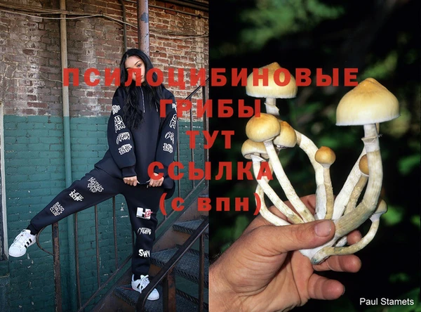 меф Медвежьегорск
